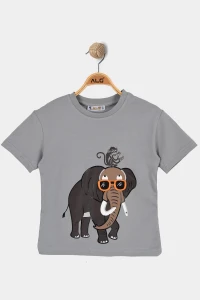 2-5 Yaş Çocuk Tişört Dumangri - 125846.1576.