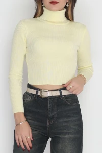 Balıkçı Yaka Triko Sarı - 4008.2043.