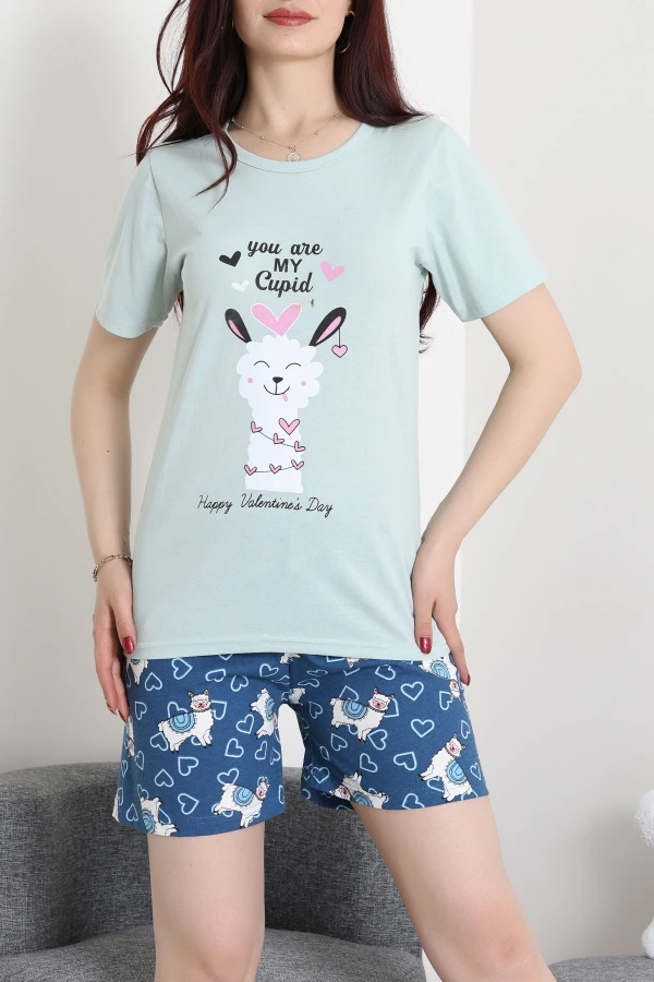 Süprem Baskılı Pijama Takım Mintlaci - 50775.1773.