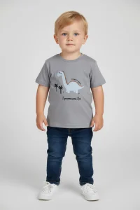 2-5 Yaş Çocuk Tişört Boyalıgri - 1252067.1576.