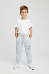 6-9 Yaş İki İplik Eşofman Altı Gri - 2260028.1576.