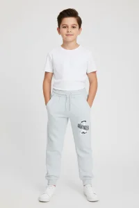 10-13 Yaş 2 İplik Çocuk Eşofman Altı Gri - 3260013.1576.