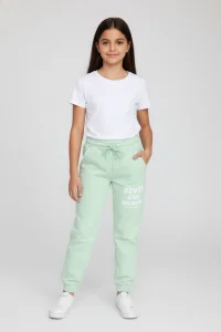 10-13 Yaş 2 İplik Eşofman Altı Suyeşili - 7260027.1576.