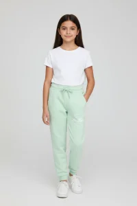 10-13 Yaş 2 İplik Baskılı Eşofman Altı Suyeşili - 7260029.1576.