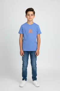 10-13 Yaş Baskılı Erkek Çocuk Tişört Mavi - 3260130.1576.
